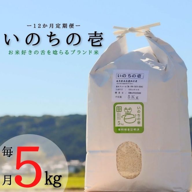 BI-35 【12か月定期便】【特別栽培米】垂井町産いのちの壱(5kg×12回）
