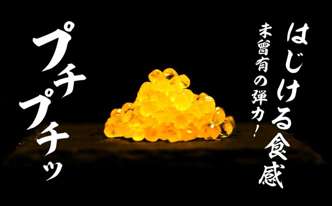 yRsszAV002@߂@