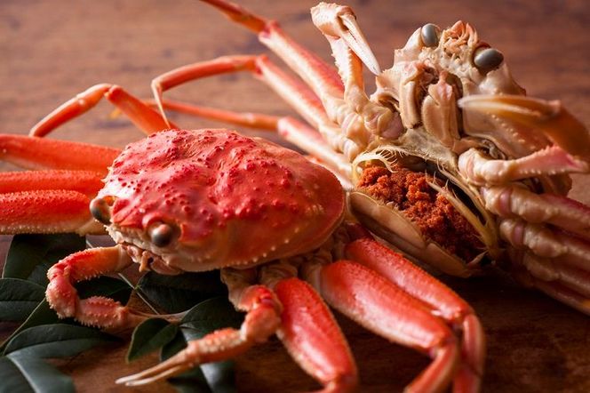 【蟹の匠 魚政】内子外子が美味! 茹でたて セイコガニ（セコ蟹）（香箱ガニ）（こっぺ）小サイズ 5匹セット カニ 蟹 セイコ蟹 セコガニ 香箱ガニ コッペガニ ボイル　UO01378