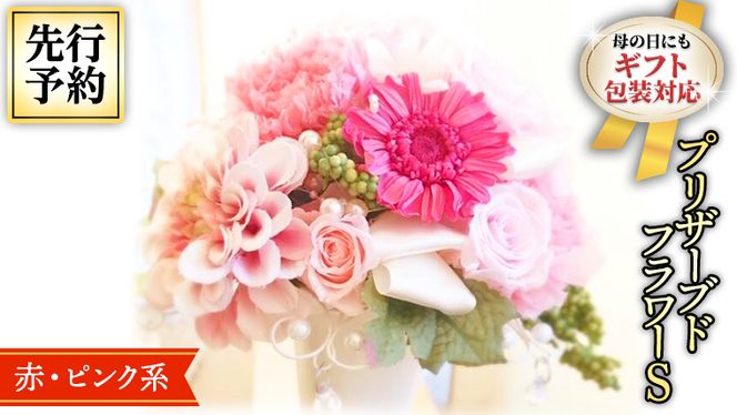 【 母の日 】 赤 ・ ピンク 系 プリザーブド フラワー S ギフト プレゼント 花 お祝い 贈答 記念日 [CT070ci01]