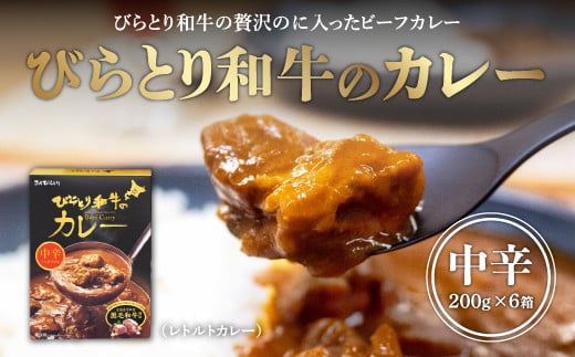 びらとり和牛カレー中辛200g×６箱 ふるさと納税 人気 おすすめ ランキング びらとり和牛 平取和牛 和牛 カレー 中辛 北海道 平取町 送料無料 BRTH019