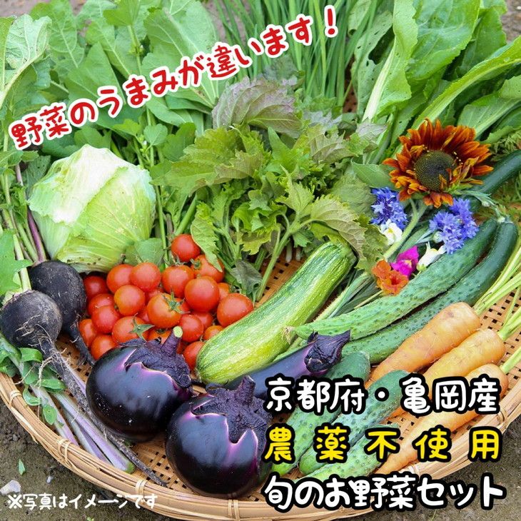 [6回定期便]京都府・亀岡産 無農薬・自然栽培で育てた体も心も喜ぶ かたもとオーガニックファームの季節のお野菜セット 毎回10〜20品目を毎月お届け 全6回※離島への発送不可