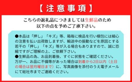 「6～7月早生（わせ）桃」自家用約1.8kg岡山県総社もも生産組合【2025年産先行予約】25-017-013