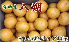 【手選果】有田産の八朔10kg（SまたはMサイズいずれかお届け）★2025年1月中旬より順次発送　BZ088