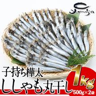 子持ち樺太ししゃも丸干し (計1kg・500g×2袋) 干物 ししゃも シシャモ 丸干し 魚 海鮮 冷凍 大分県 佐伯市【AP82】【(株)ヤマジン】