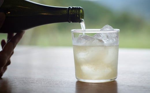 【CF】「山神果樹薬草園」柑橘リキュールとコーディアル　6本セット《30日以内に出荷予定(土日祝除く)》---sanagouchi_myk_24_1set---