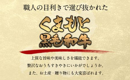 くまもと黒毛和牛 すき焼き用 500g 1000g《90日以内に出荷予定(土日祝除く)》 南阿蘇L（阿蘇牧場）---sms_fkmkgsk_90d_r7_19000_500g---