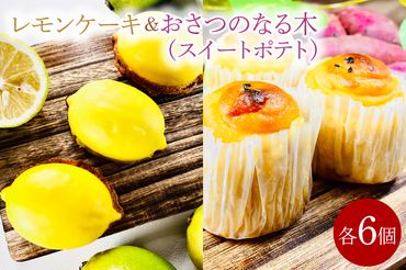 レモンケーキ&おさつのなる木（スイートポテト）（KD-14）