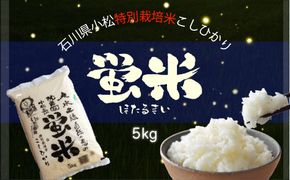 令和６年産【特別栽培米コシヒカリ】蛍米精米5kg 010013