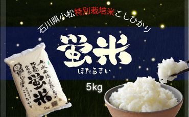 令和５年産【特別栽培米コシヒカリ】蛍米精米5kg 010013