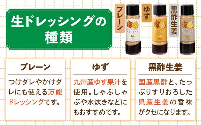 玉ねぎドレッシング の「たまっしんぐ」 プレーン 1本 + 黒酢生姜 1本 + ゆず 1本【ギフトボックス】【のし対応可】《築上町》【かなえ工房】[ABAH005]