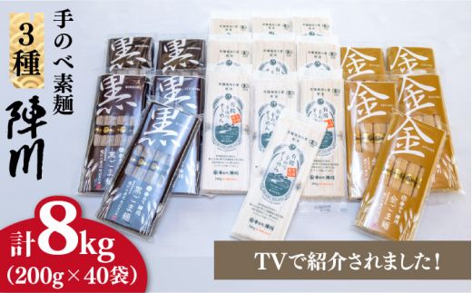 【手のべ陣川：ふるさと納税 限定商品】 島原 有機 手延べ そうめん 手延べ ごま麺 詰合せ 8kg / TA-200/ 南島原市 / ながいけ [SCH030] 