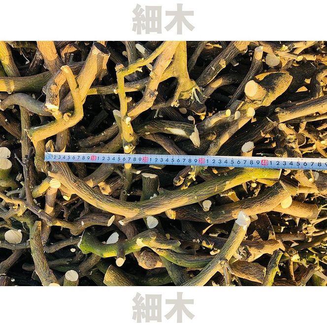 薪 キャンプ用 有田みかんの薪10Ｋg(細木・中太) DJ011