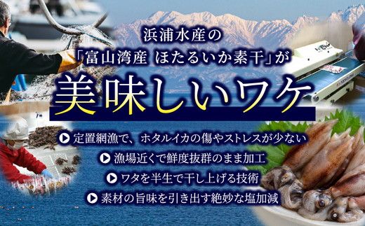 【大量シェア】ホタルイカ素干500g（25g×20袋）：浜浦水産シェアセット