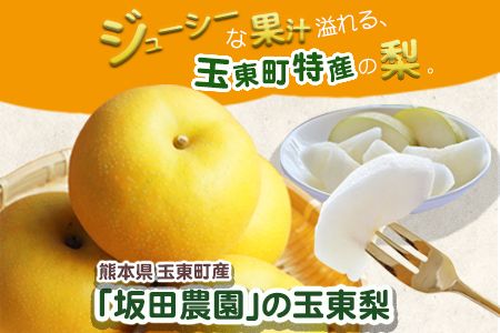 『坂田農園』の玉東梨 約3kg《8月中旬-9月末頃出荷》 熊本県玉名郡玉東町産『坂田農園』なし 果物 スイーツ フルーツ デザート スムージー 熊本県玉東町---sg_csakatanashi_bc8_r8_12000_3kg---