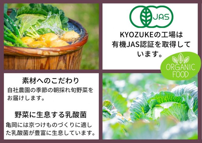 旬野菜と かんたんぬか漬セット【専用容器 説明書付き】《ぬか床 ぬか漬け 京漬物 京野菜 漬物 無添加 発酵食品 乳酸菌》