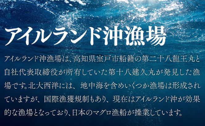 本マグロ　中トロ　２柵（４００ｇ）　eb013