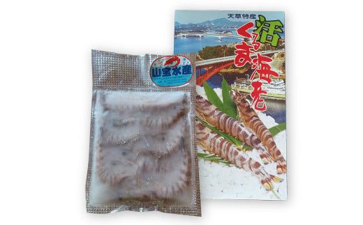 【先行予約】 加熱用冷凍車海老250g×2 えび エビ 海老 車海老 車えび 加熱用 250g 2パック 合計500g 1パックあたり7～12尾 冷凍 熊本県 上天草市 【2027年1月上旬から順次発送予定】