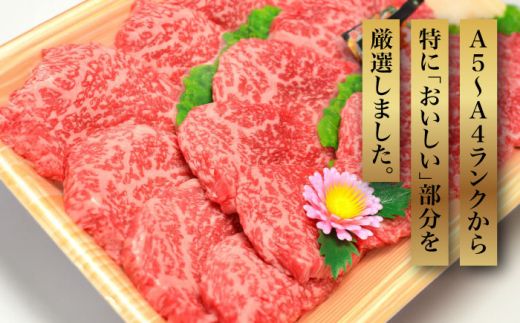 【全12回定期便】【化粧箱入】A5〜A4ランク 博多和牛 厳選セット（計1150g）焼肉たれ・塩胡椒付《築上町》【株式会社マル五】[ABCJ119]