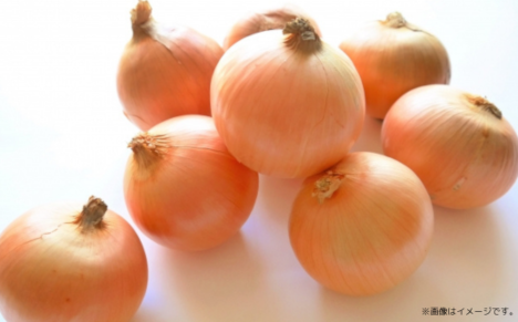 玉ねぎ 10kg 北海道 佐呂間産 （2026年10月出荷開始先行予約） SRMM019