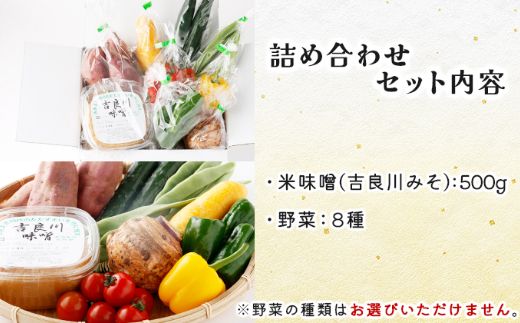 お味噌 (550g) 野菜 (8品) セット 詰め合わせ 旬 おまかせ 新鮮 やさい 味噌 みそ 吉良川みそ 調味料 高知県 室戸市 5000円 送料無料　rk014