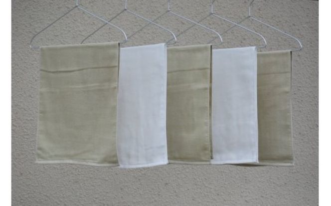 010B1156 さらっとガーゼとふんわりパイルのモノトーンタオル（ピスタチオ3枚 ホワイト2枚）【泉州タオル 国産 吸水 普段使い シンプル 日用品】