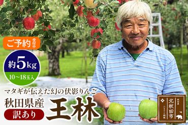 ＜先行予約＞りんご 王林（訳あり）約5kg (10〜18玉入) 伊東さんの「伏影りんご」 令和6年産 秋田県産 個数限定 リンゴ マタギのりんご|itff-00006