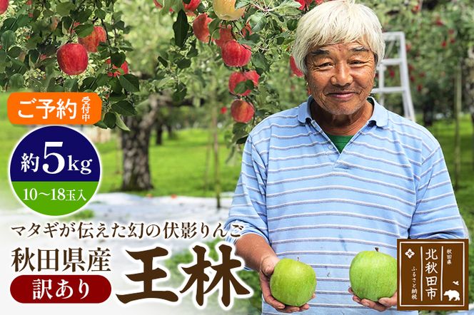 ＜先行予約＞りんご 王林（訳あり）約5kg (10〜18玉入) 伊東さんの「伏影りんご」 令和6年産 秋田県産 個数限定 リンゴ マタギのりんご|itff-00006