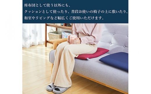 エアウィーヴ 座布団  ワインレッド