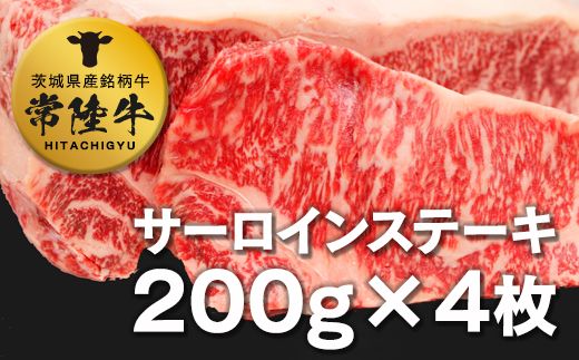 y錧΂݂炢sz헤T[C200×S [AI05-NT]