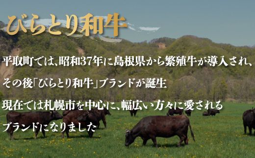 びらとり和牛極上サーロインステーキ約180ｇ×4枚 ふるさと納税 人気 おすすめ ランキング びらとり和牛 黒毛和牛 和牛 肉 サーロイン ステーキ 北海道 平取町 送料無料 BRTH027