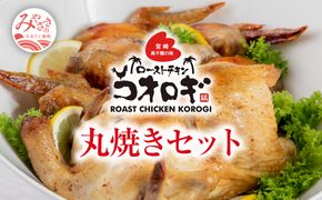 ローストチキンコオロギ 丸焼きセット(丸焼き700ｇ以上、手羽先10本)_M150-002