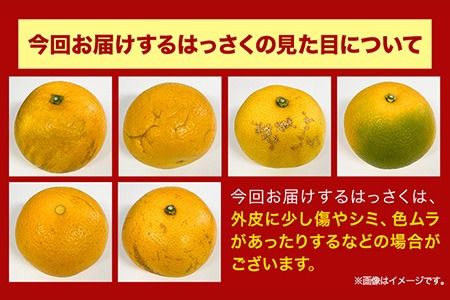 訳あり/ご家庭用】はっさく 約4kg (4L~Sサイズ)サイズ不選別 早生 晩生