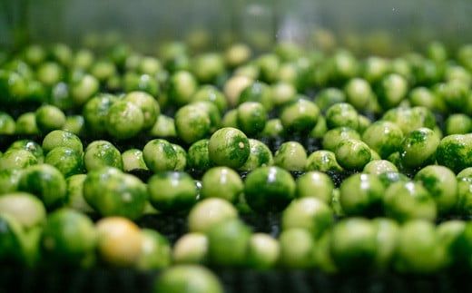 【CF】「山神果樹薬草園」すだちのハンドケアセット《30日以内に出荷予定(土日祝除く)》---sanagouchi_myk_14_1set---