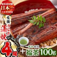 極うなぎ蒲焼110g以上×4尾(計440g以上)+福茶100g b3-007