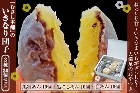 むさし本舗のいきなり団子 30個入り(黒粒10個、黒こし10個、白あん10個) 熊本県長洲町《60日以内に出荷予定(土日祝除く)》---sn_fmusasidango_60d_r7_13500_30p---