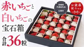 【 お歳暮 熨斗付 】赤いちご と 白いちごの宝石箱 36粒 【令和6年12月から発送開始】（県内共通返礼品：石岡市産） いちご 苺 イチゴ 白いちご 白イチゴ 宝石箱 [BI377-NT]