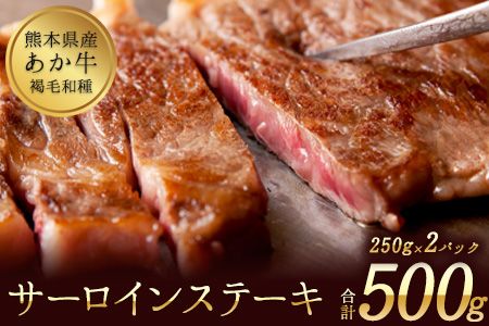 牛肉 あか牛 サーロイン ステーキ 500g ( 250g x 2枚 ) 牛肉 冷凍 《2026年1月中旬-3月末頃出荷》 訳あり 定期便 でない 冷凍庫 個別 取分け 小分け 個包装 ステーキ肉 あかうし 赤牛 あか牛丼 にも サーロインステーキ--- mna_faksir_bc13_r7_13500_500g---