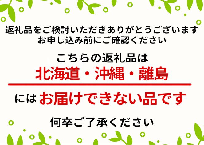 ＜すだ農園＞2年生 苗木 ◇暖地さくらんぼ [地中ポット苗 2022年] ※2023年10月下旬～2024年4月下旬頃に順次発送 ※北海道・沖縄・離島への配送不可