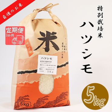BI-13 【3か月定期便】【特別栽培米】垂井町産ハツシモ(5kg×3回）