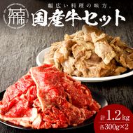 【国産牛】料理の味方セット(切り落とし・ボイルスジ肉)《 肉 牛肉 切り落とし肉 牛すじ 国産 セット 》【2301A09910】