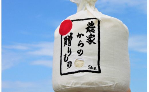 【令和7年産新米】【先行予約】ひかりファーム の 夢つくし 10kg【2025年10月以降順次発送】《築上町》【ひかりファーム】 [ABAV011]