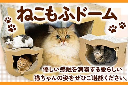 ねこもふドーム 濱田紙販売株式会社 猫 ネコ《90日以内に出荷予定(土日祝除く)》 和歌山県 紀の川市 ペット用品 段ボール ダンボール 爪とぎ ツメとぎ---wsk_hamacatmf_90d_22_12000_dome---