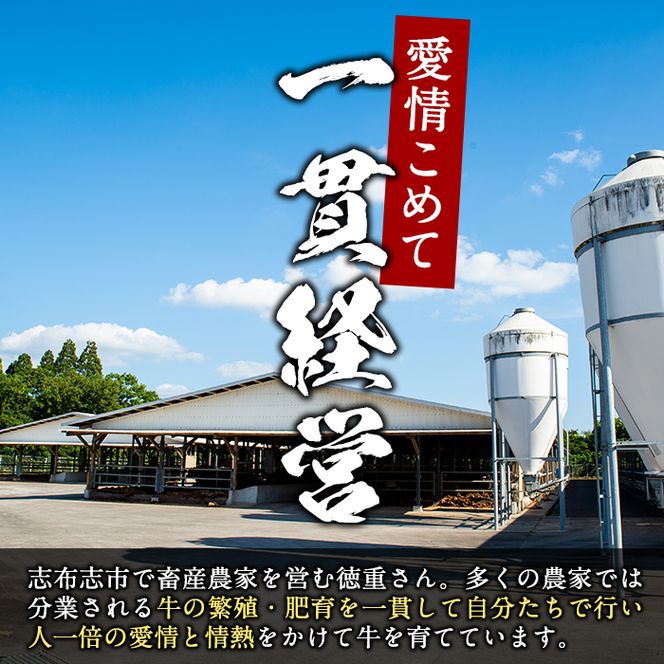 【鹿児島県産】徳重さんのA5黒毛和牛ヒレステーキ2種盛(計480g) b6-015