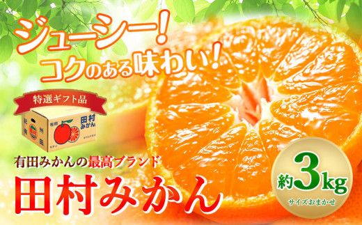 みかん 田村みかん 特選 ギフト 3kg サイズ指定なし 株式会社とち亀物産[11月下旬-1月中旬頃出荷予定(土日祝除く)]和歌山県 日高町 フルーツ くだもの 果物 柑橘 旬 ノーワックス 送料無料 紀伊国屋文左衛門本舗 贈答用---wsh_ttk22_11g1c_25_15000_3kg---