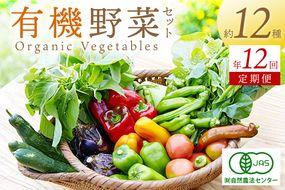 【年12回定期便】＜てんとうむしばたけ＞オーガニック野菜セット　有機野菜12種前後(4人用)　BR00023