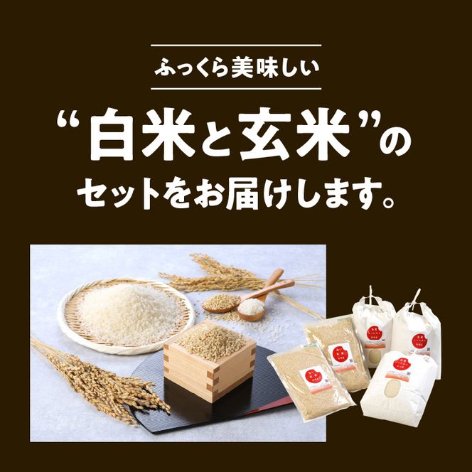宮崎ヒノヒカリ延岡産白米と白い玄米セット合計16.6kg N0149 宮崎ヒノヒカリ延岡産白米と白い玄米セット合計16.6kg N0149