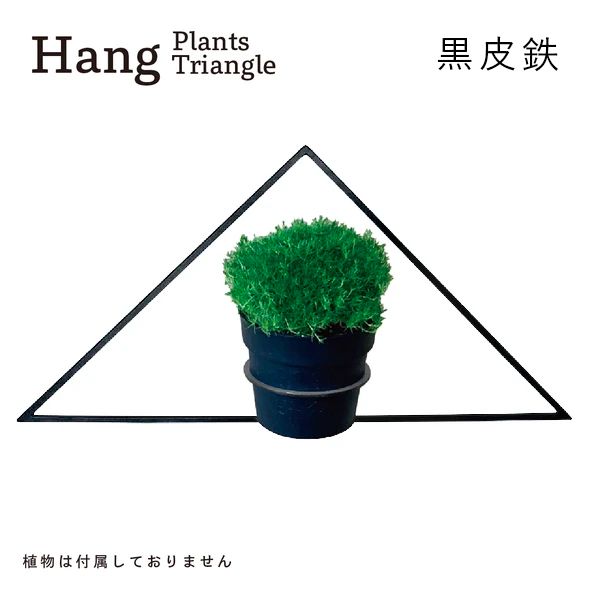 GRAVIRoN Hang Plants シリーズ Triangle/Diamond/Round セット 黒皮鉄（プランツハンガー） 観葉植物 プランター