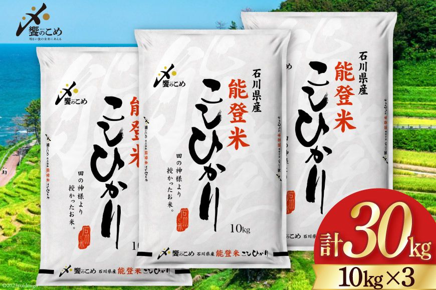 [期間限定発送] 米 令和7年 能登米 こしひかり 精米 10kg ×3袋 計 30kg [中橋商事 石川県 宝達志水町 38601196] お米 白米 ごはん 美味しい コシヒカリ おこめ こめ コメ 30キロ