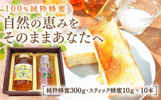 yRRszE031 IƃXeBbNĨZbg